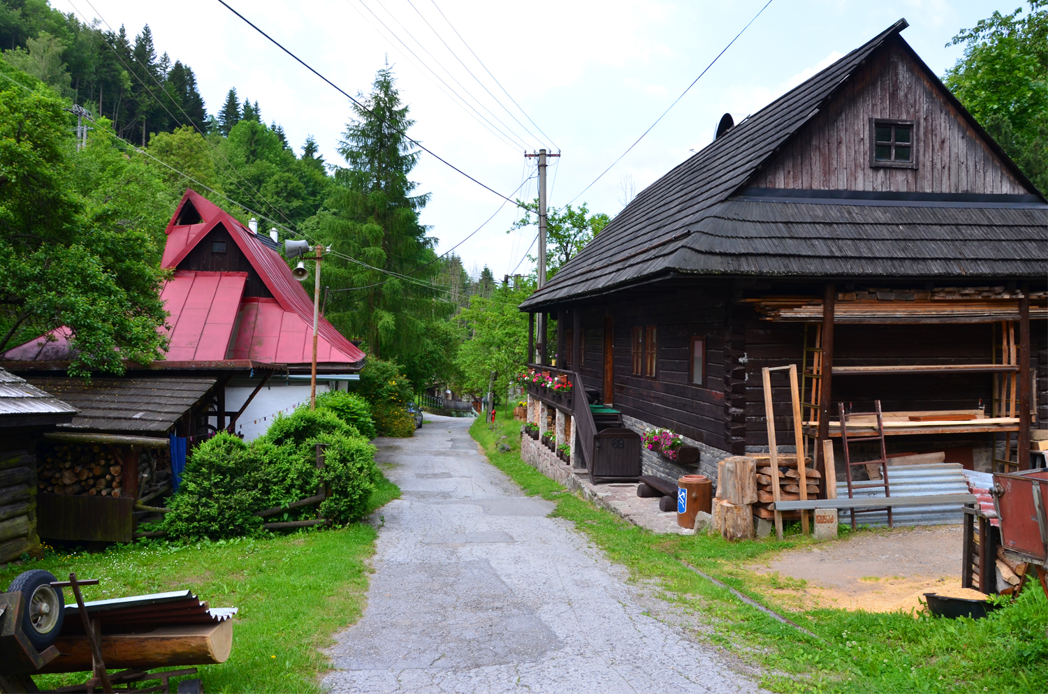 DSC_0267.jpg
