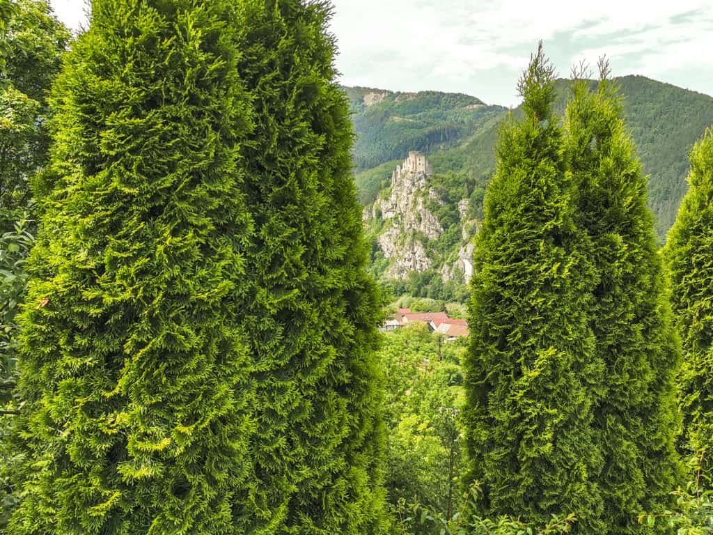 Koliba Panoráma - Výhľad na Hrad Strečno