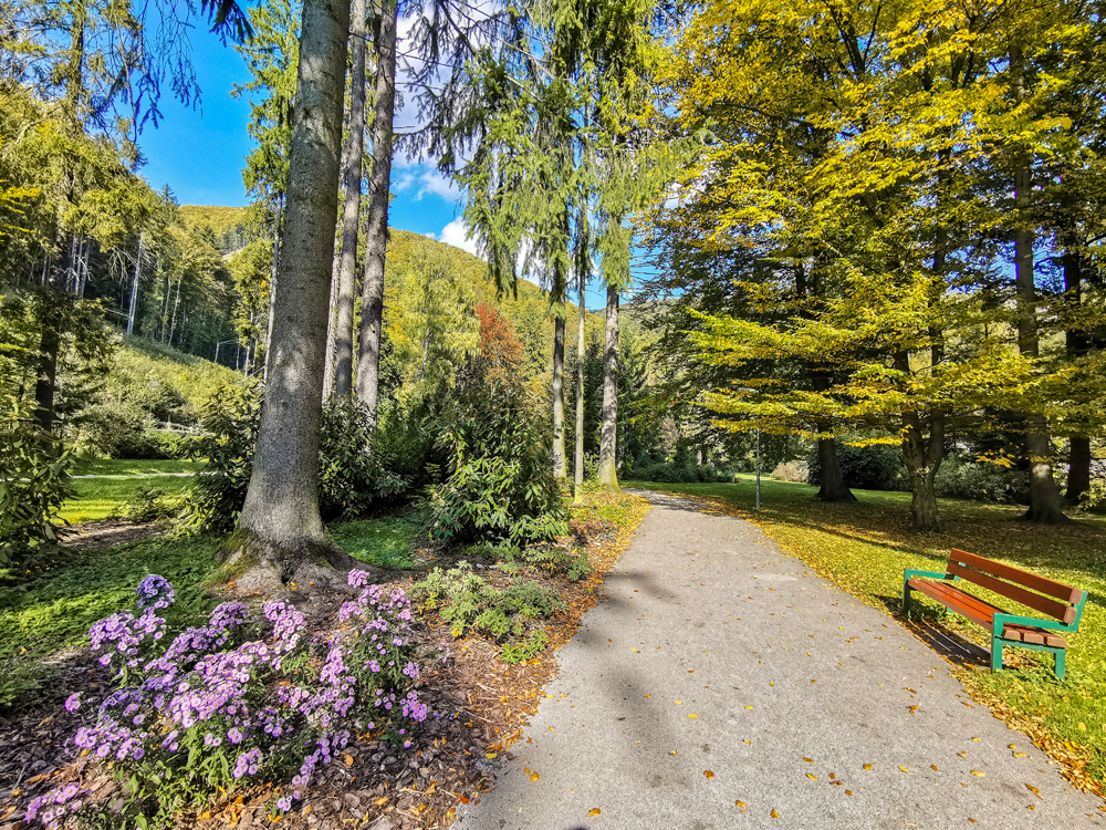 Rajecké Teplice - Park pri Skalke