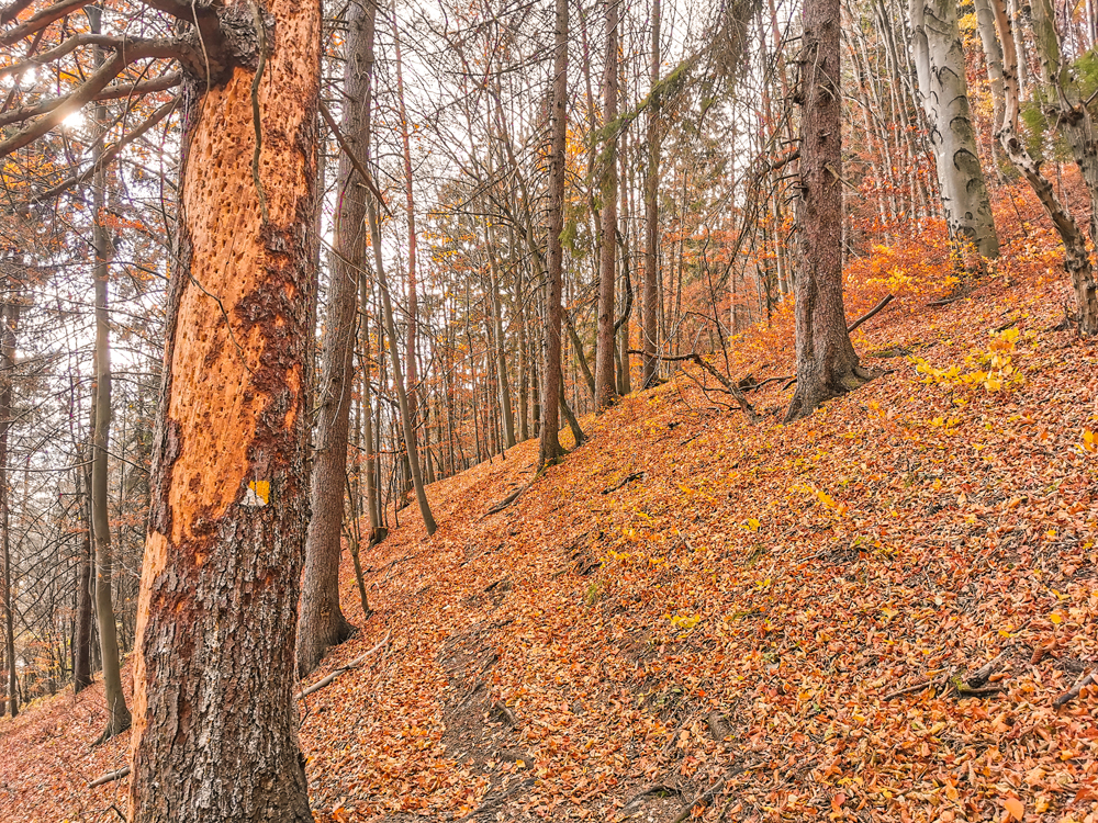 Farebná jeseň v Rajeckej doline