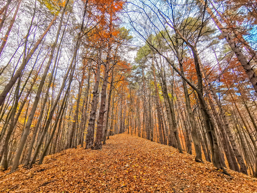 Skalky - Rajecké Teplice - jesenná prechádzka