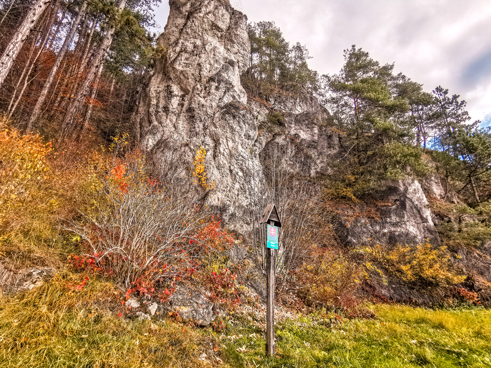 Rajecká dolina - Poluvsianska skalná ihla