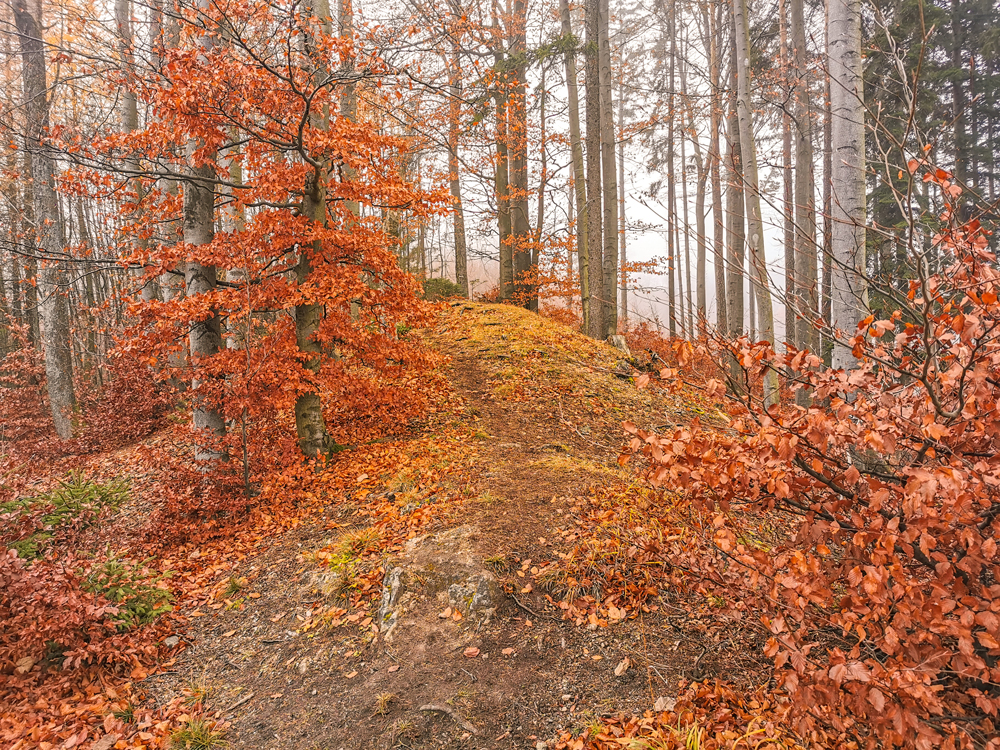 Stratený budzogáň - Rajecká dolina - jeseň