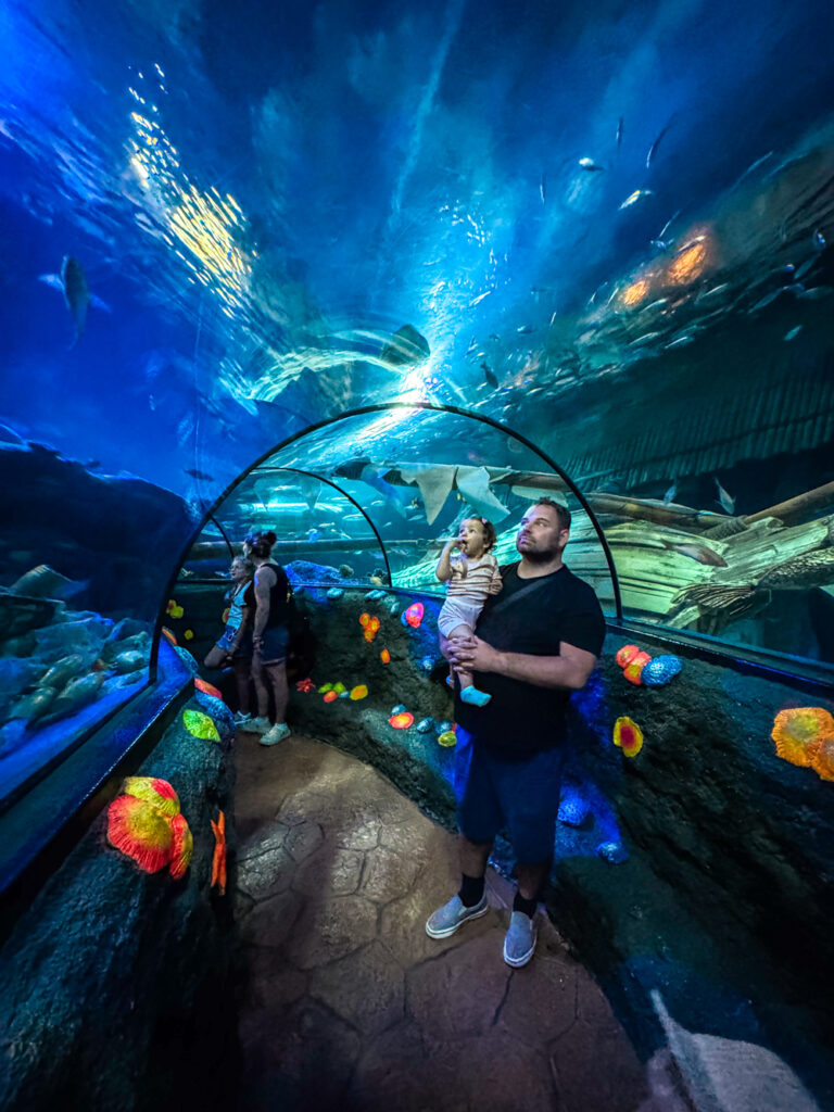 Podvodný tunel Gardaland