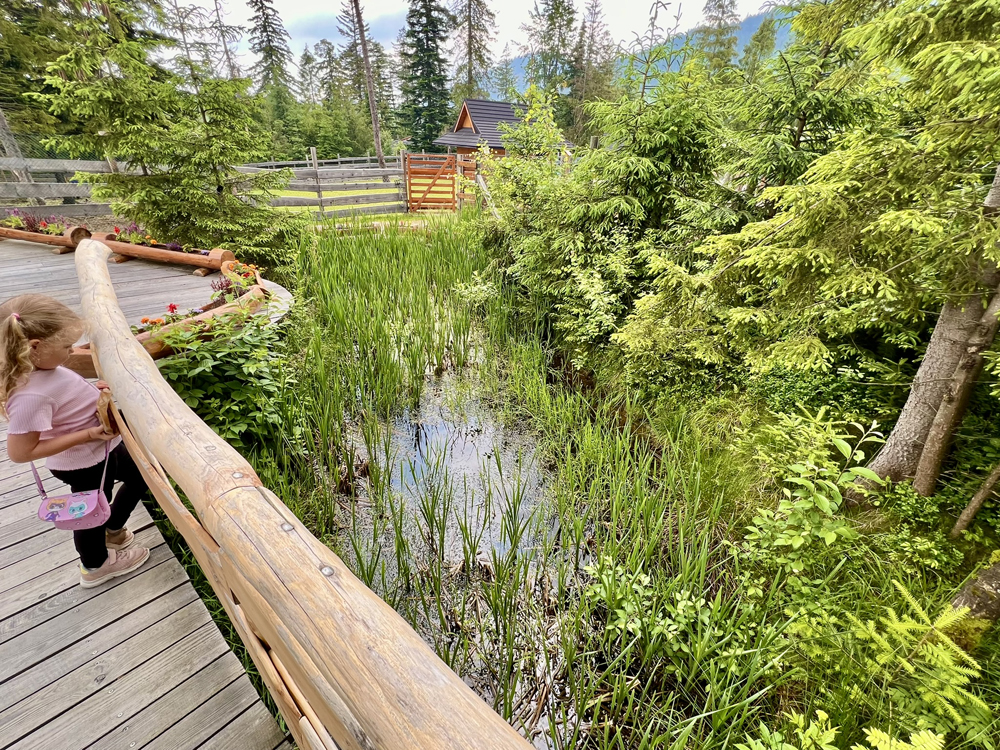 Zakopane