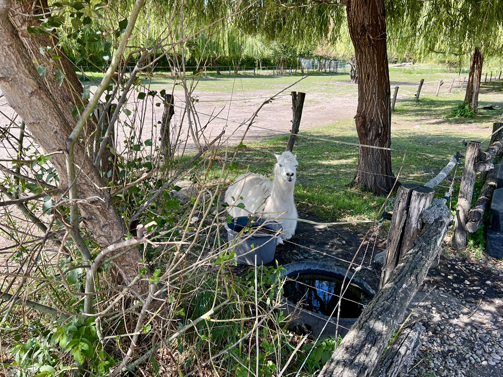 Pohodička v zoo