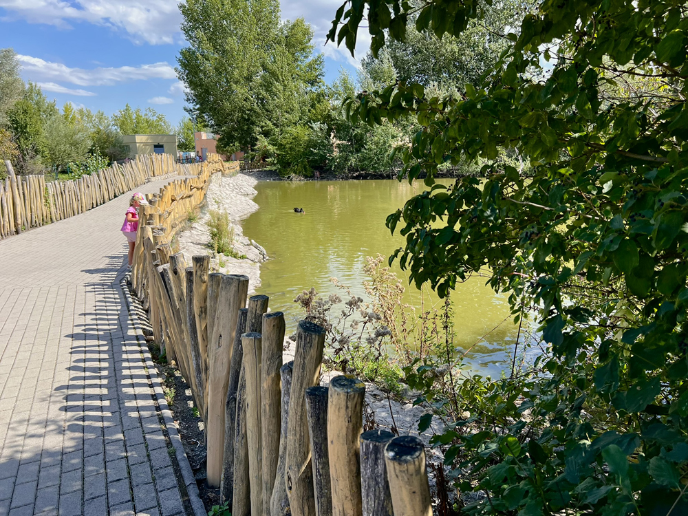 Prechádzka medzi zvieratkami